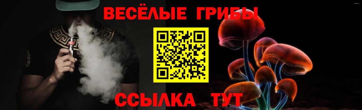 Псилоцибиновые грибы мицелий Сызрань