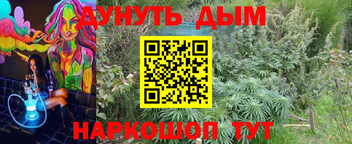 Бошки марихуана OG Kush  Вход с VPN  Канабис LSD WEED  Марихуана планчик  Сызрань 